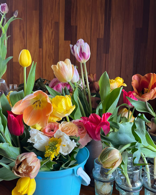 【4月11日土曜日着】チューリップ便 2026